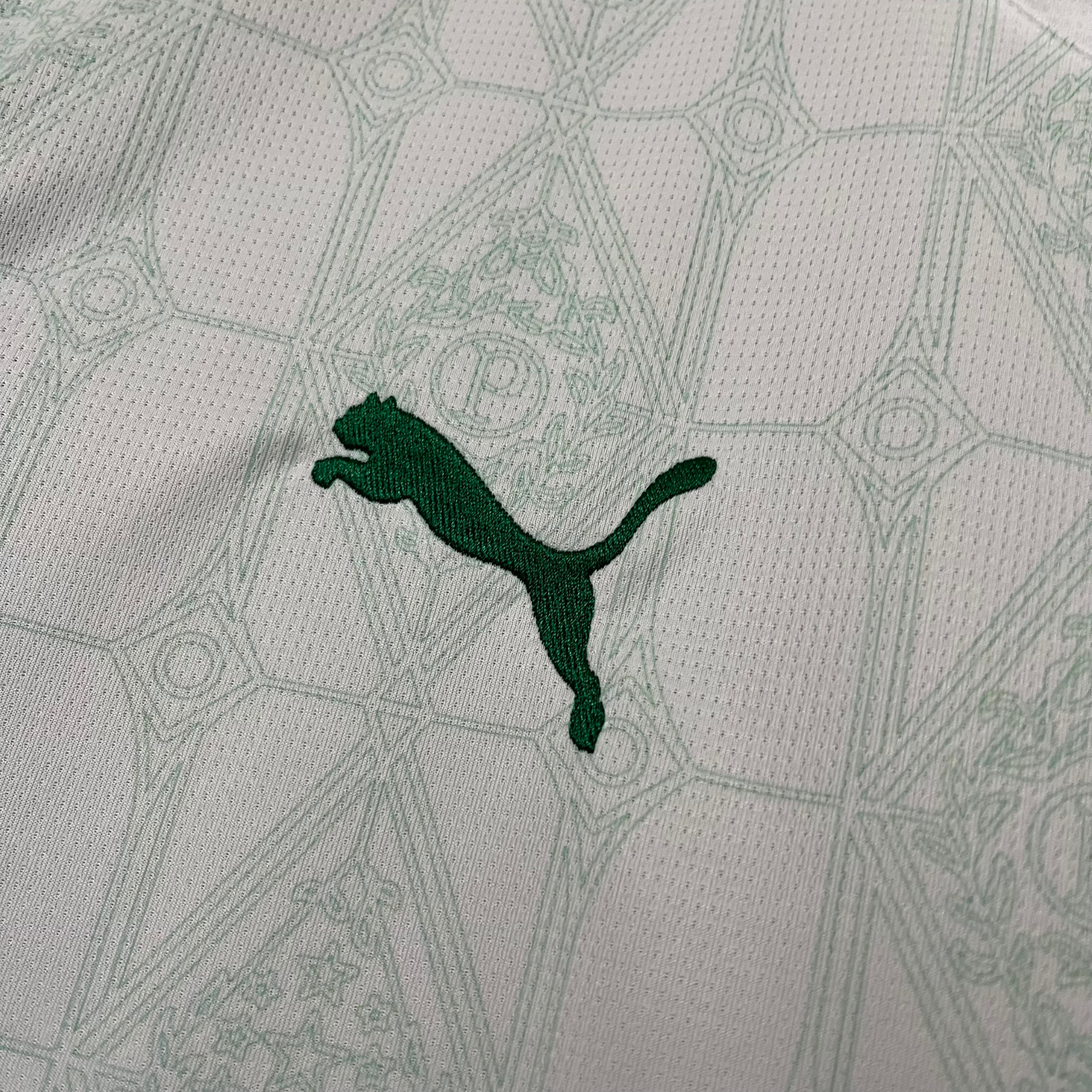 Camiseta Palmeiras Visitante 25/26 Versión Fan