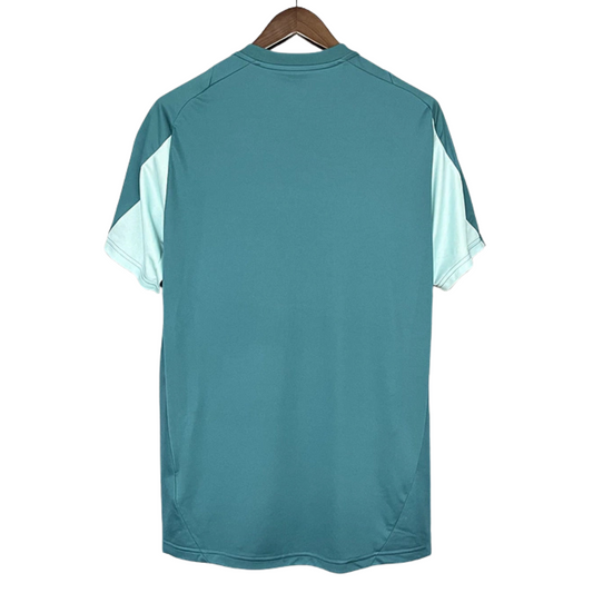 Camiseta Entrenamiento Cruzeiro II 25/26 Versión Fan