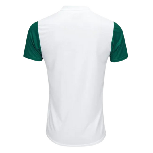 Camisa Palmeiras II 25/26 Torcedor