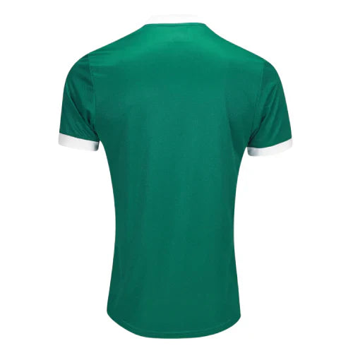 Camiseta Palmeiras 25/26 Local - Versión Jugador