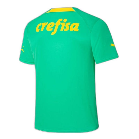 Tercera camiseta Palmeiras 22/23 - Versión Fan
