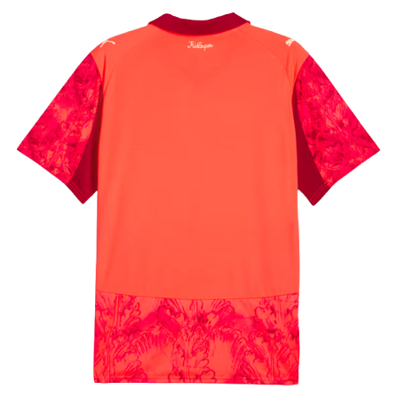 Camiseta Palmeiras 25/26 II Edición Especial - Versión Fan