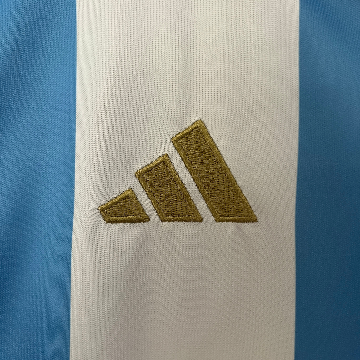 Argentina Home Jersey 24/25 Women's Fan Version