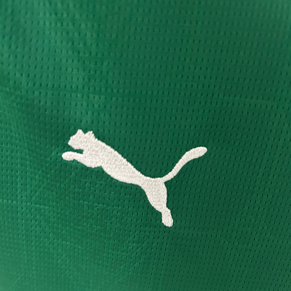 Camisa Palmeiras I 25/26 Feminina Torcedor