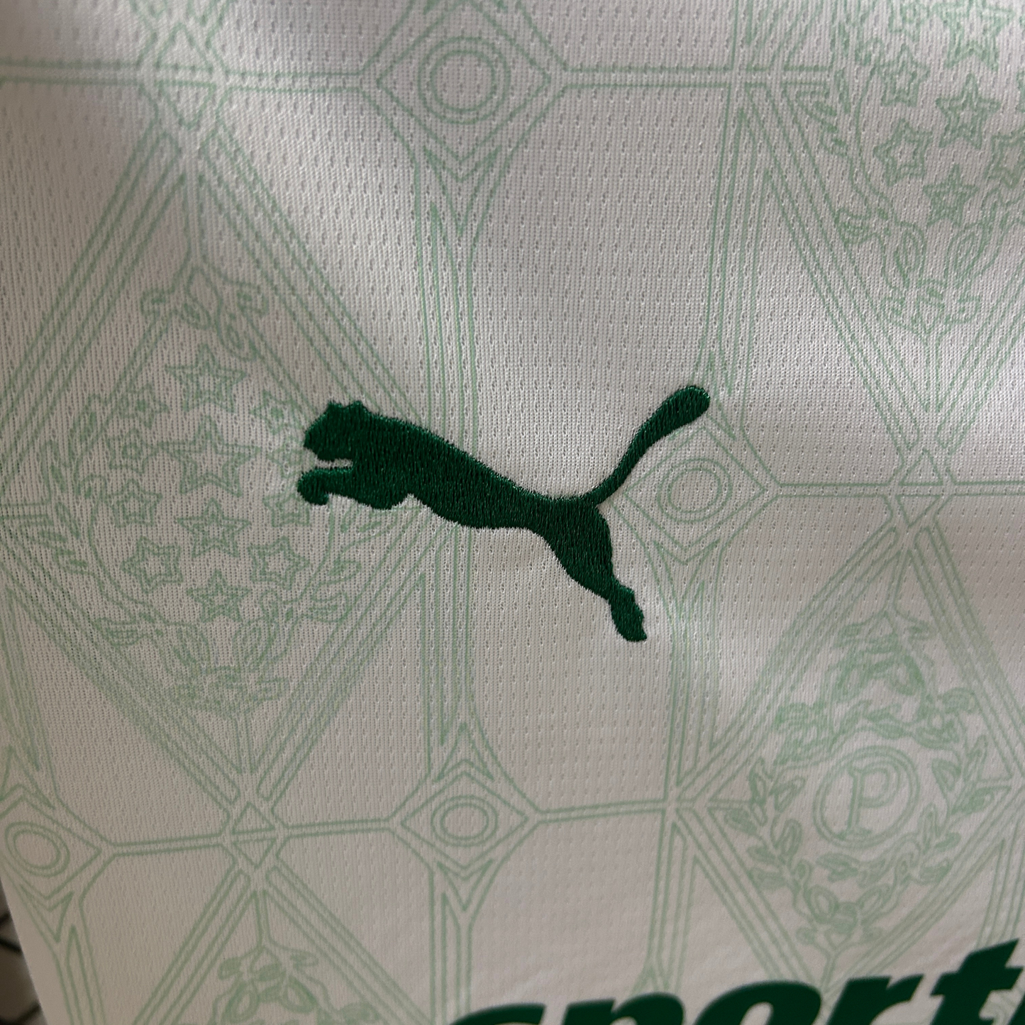 Camisa Palmeiras II 25/26 Feminina Torcedor