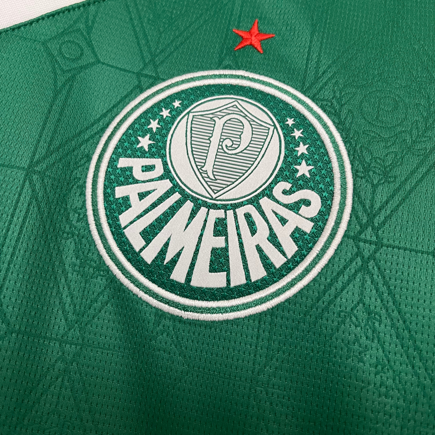 Palmeiras Home Jersey 25/26 Fan Version