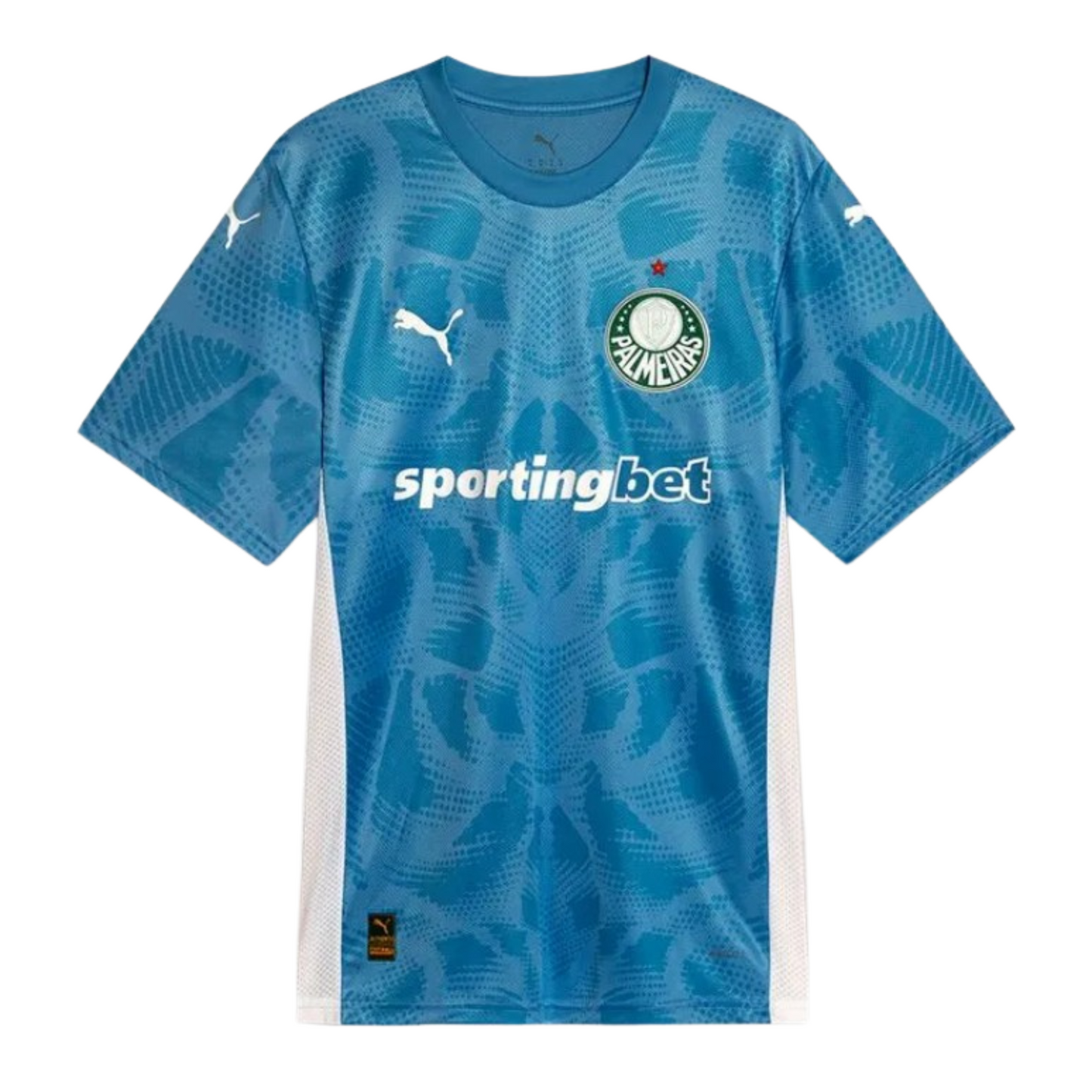 Palmeiras Goalkeeper Jersey I 25/26 Fan Version