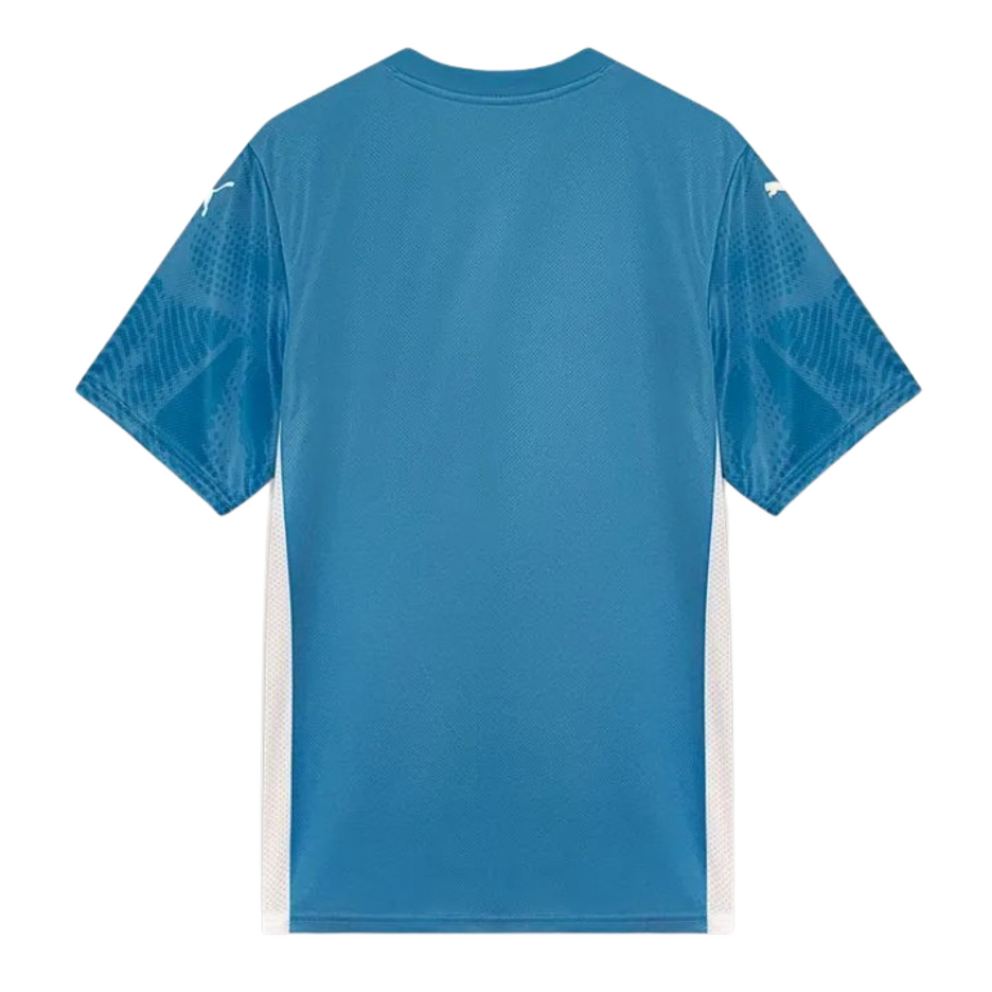 Palmeiras Goalkeeper Jersey I 25/26 Fan Version