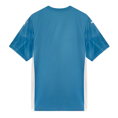 Palmeiras Goalkeeper Jersey I 25/26 Fan Version