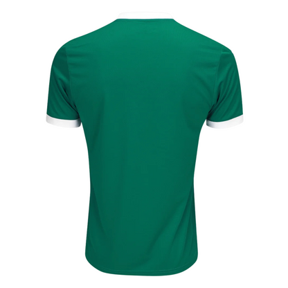 Palmeiras Home Jersey 25/26 Fan Version