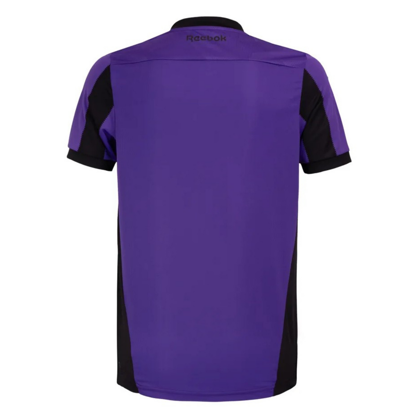 Botafogo Goalkeeper Jersey, Purple, 24/25, Fan Version