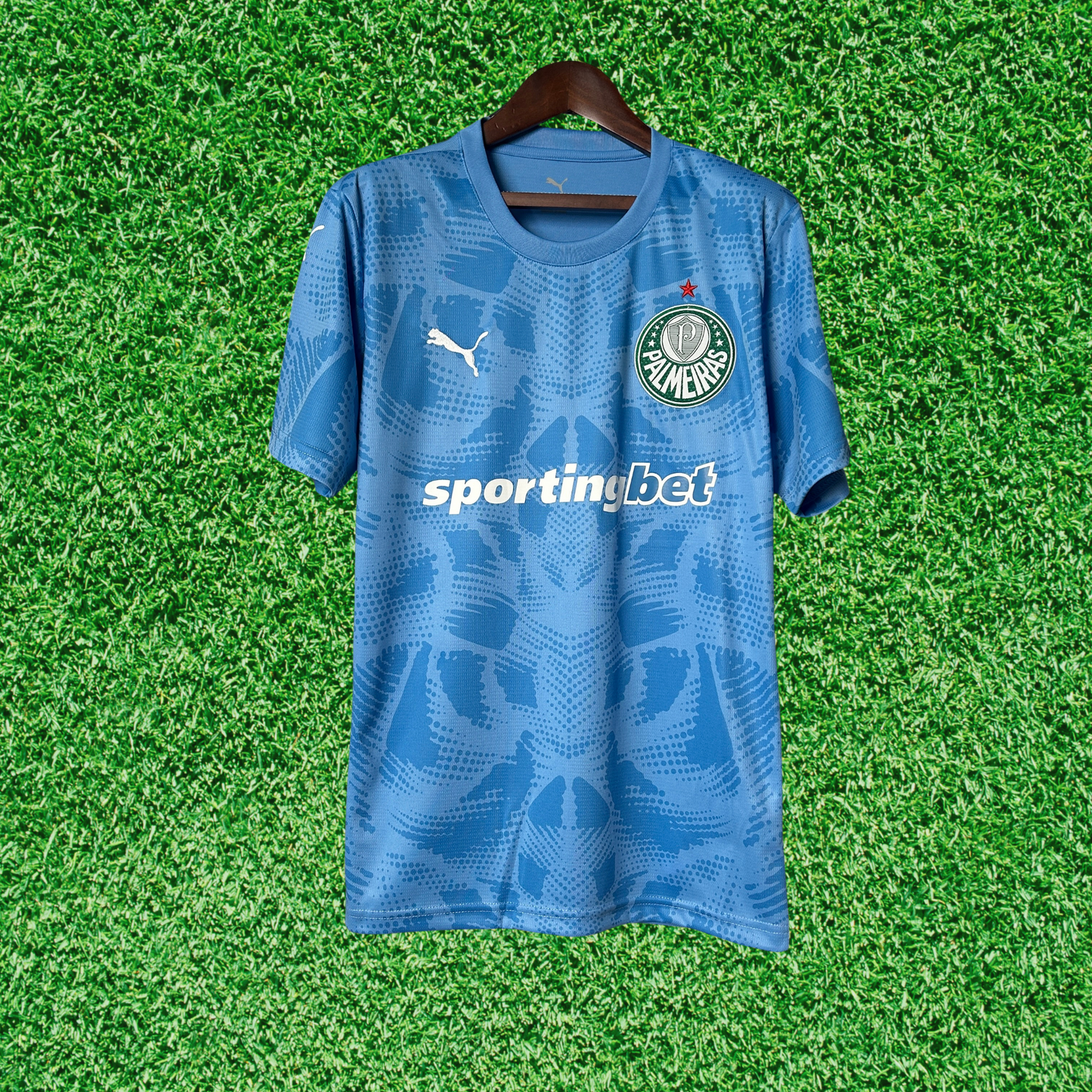 Palmeiras Goalkeeper Jersey I 25/26 Fan Version
