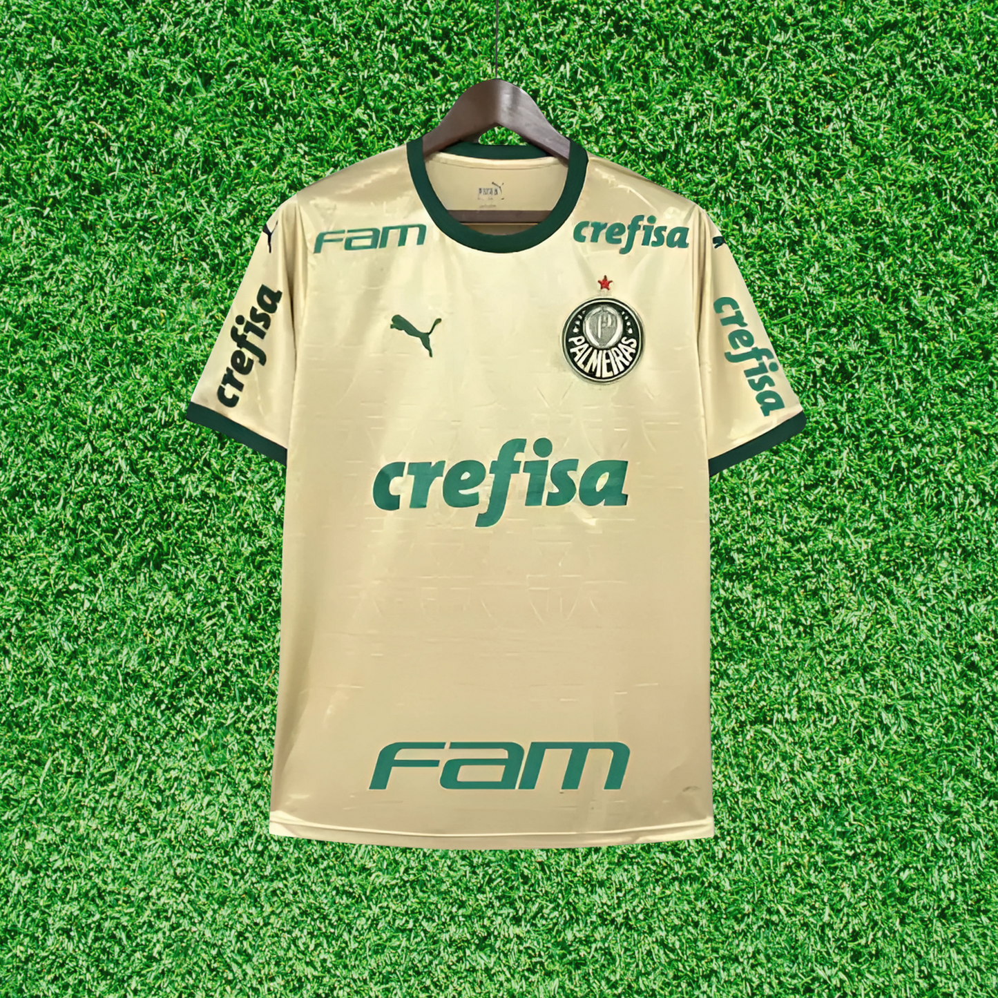Palmeiras Tercera Camiseta 24/25 Versión Fan 