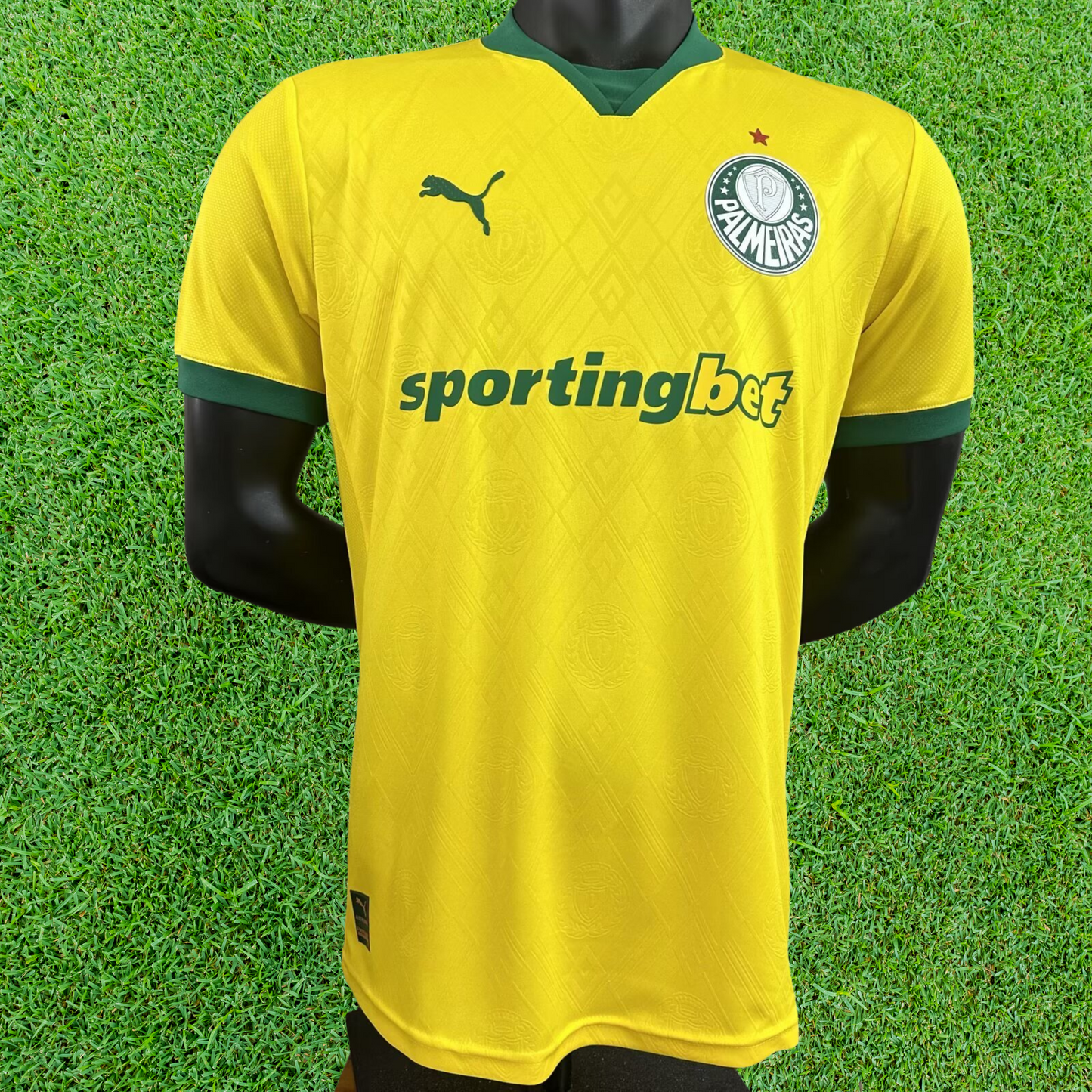Camiseta Palmeiras Tercera 25/26 Jugador 