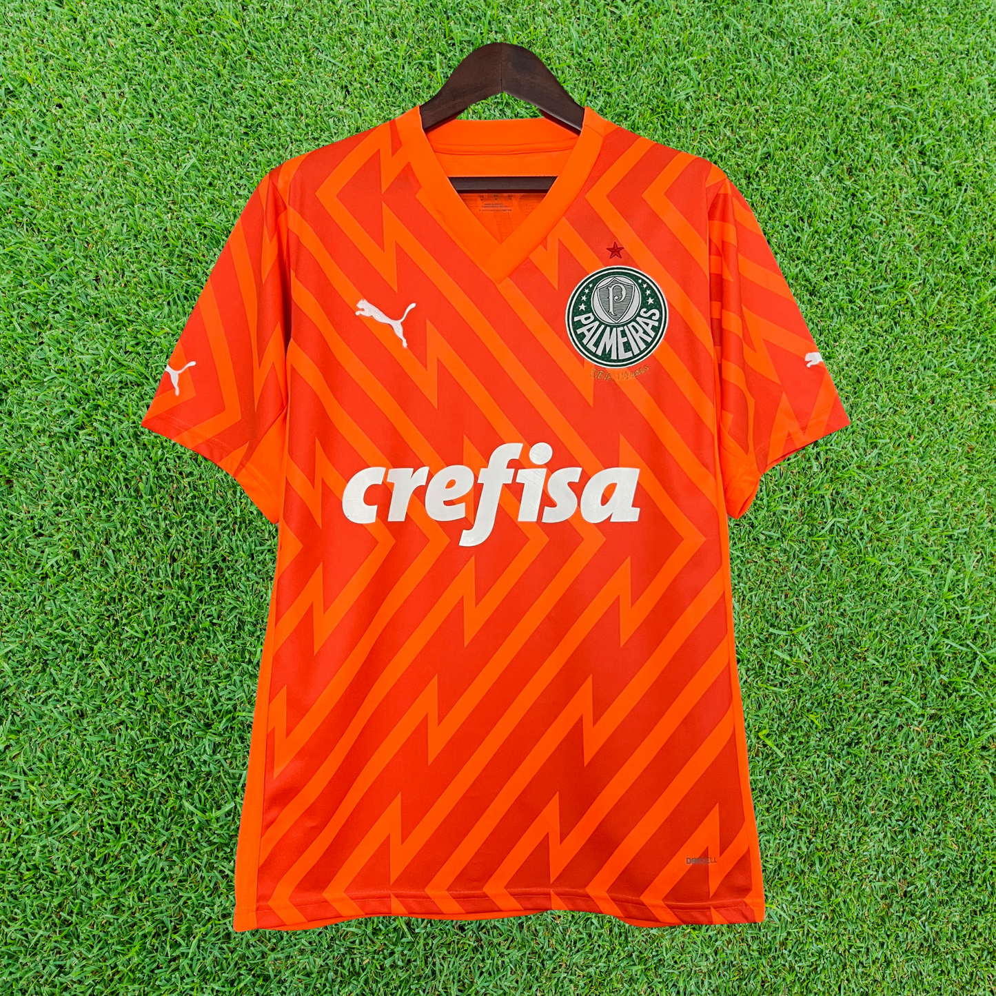 Palmeiras Goalkeeper Jersey 24/25 Fan Version