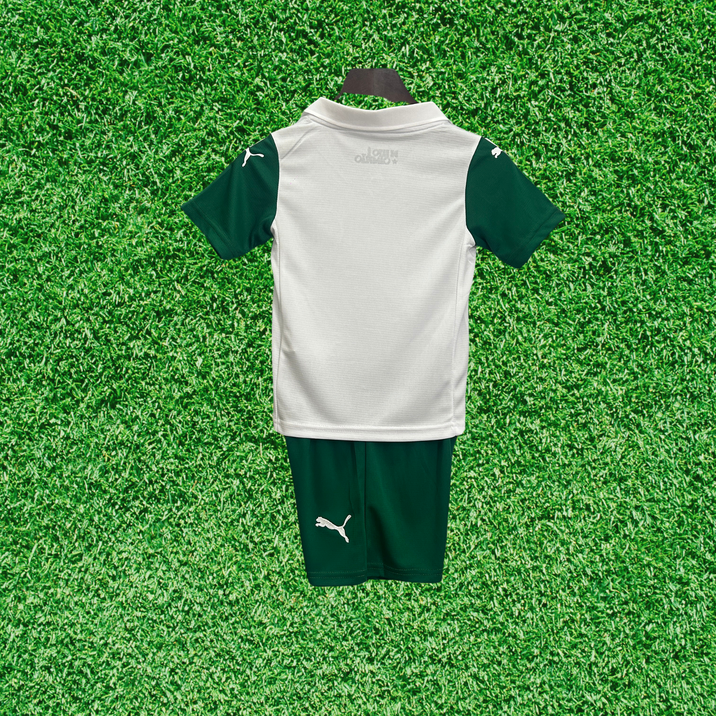Palmeiras II Kit 25/26 Kids