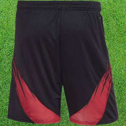 Flamengo II Shorts 25/26