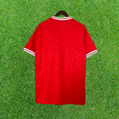 Denmark Home Jersey 2024 Fan Version