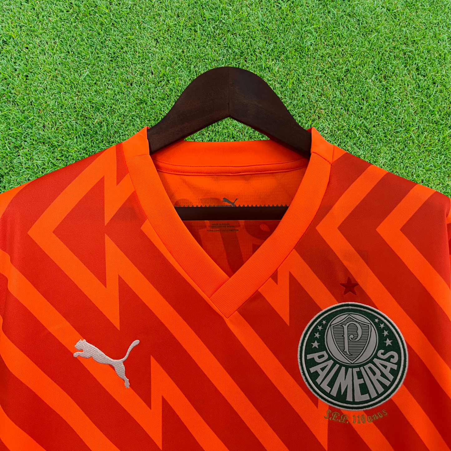 Palmeiras Goalkeeper Jersey 24/25 Fan Version
