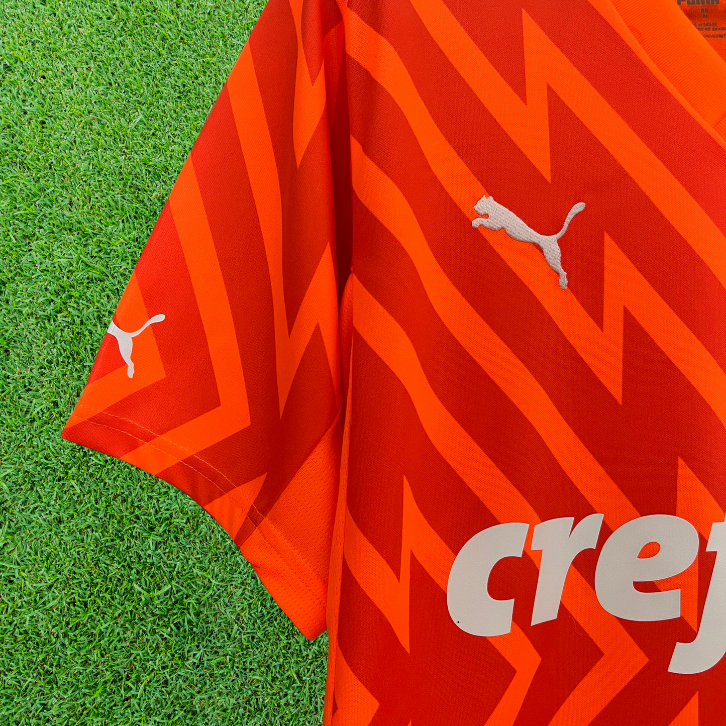 Palmeiras Goalkeeper Jersey 24/25 Fan Version