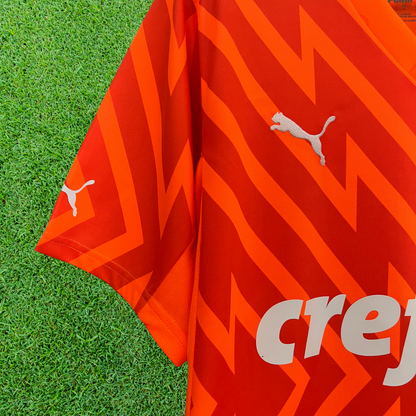 Palmeiras Goalkeeper Jersey 24/25 Fan Version
