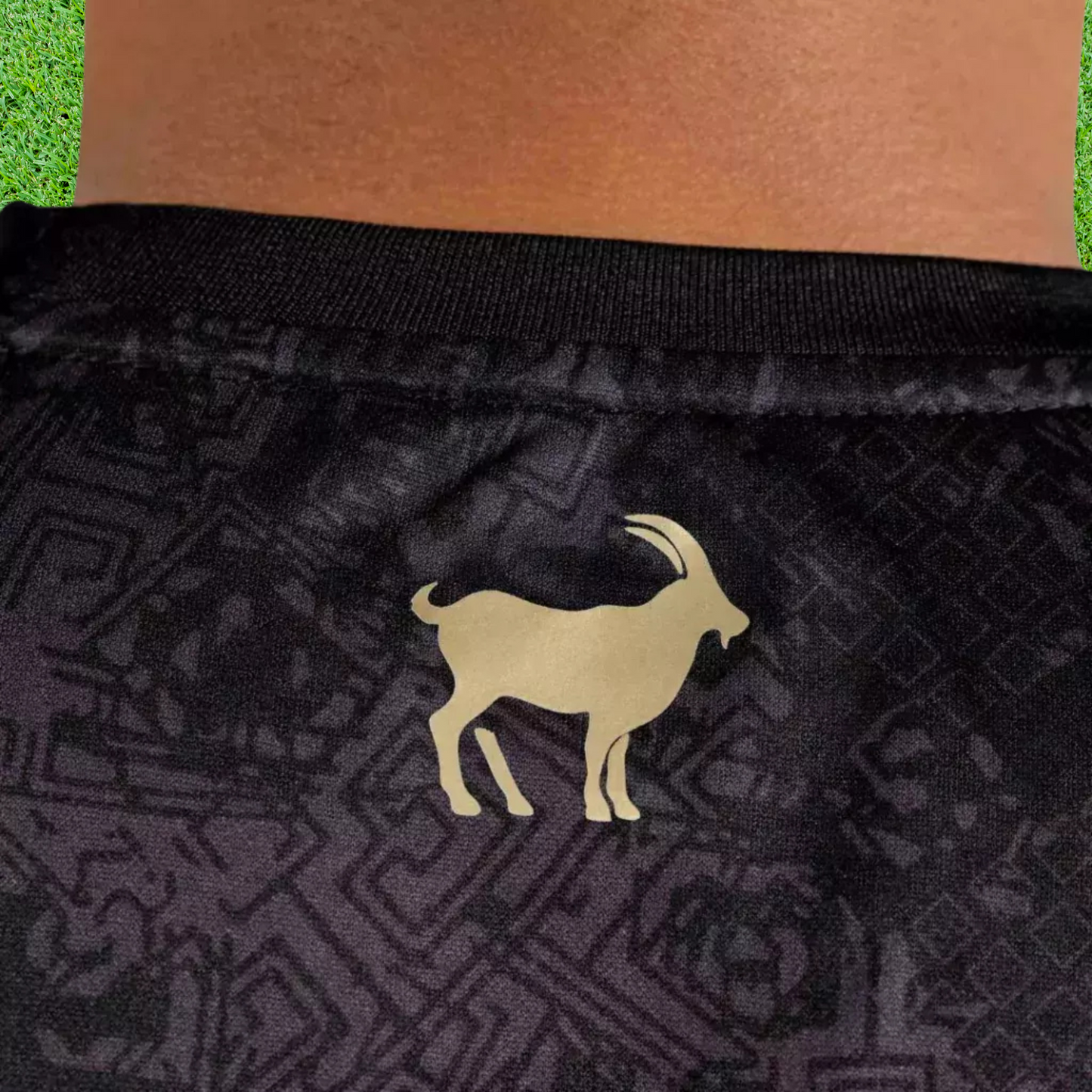 Camisa Argentina La Pulga 23/24 Torcedor