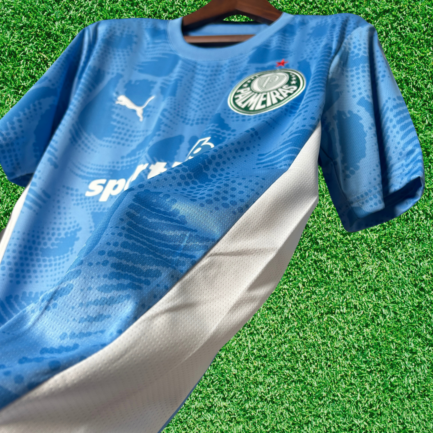 Palmeiras Goalkeeper Jersey I 25/26 Fan Version