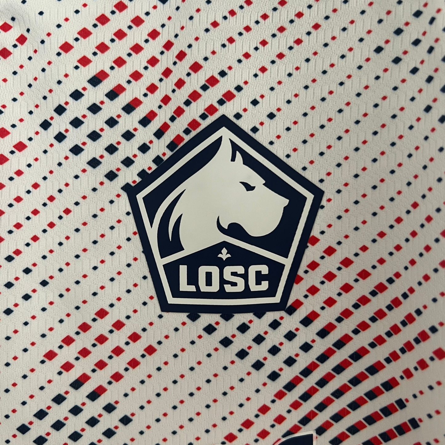 Lille LOSC II 24/25 Fan Jersey
