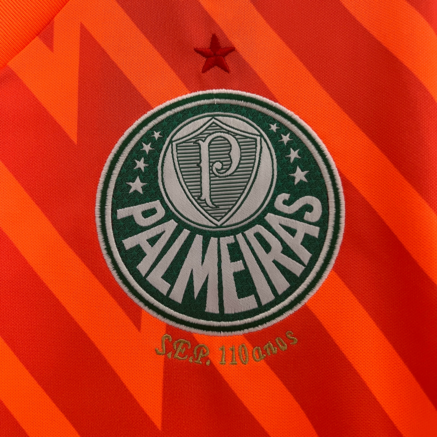 Palmeiras Goalkeeper Jersey 24/25 Fan Version