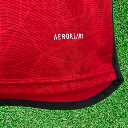 Manchester United Home Shirt 23/24 Fan Version