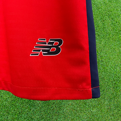 Lille LOSC Home Jersey 24/25 Fan Version