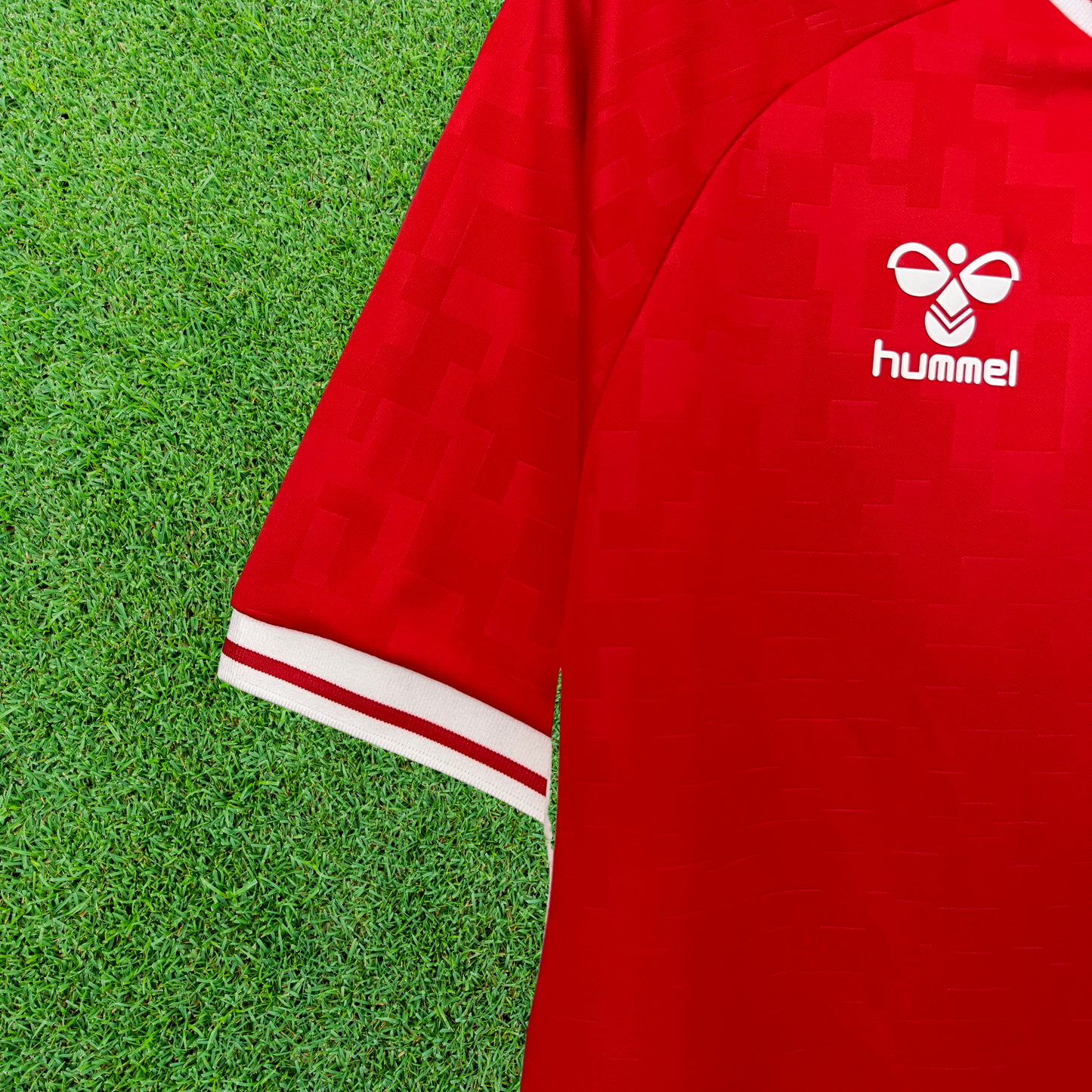 Denmark Home Jersey 2024 Fan Version