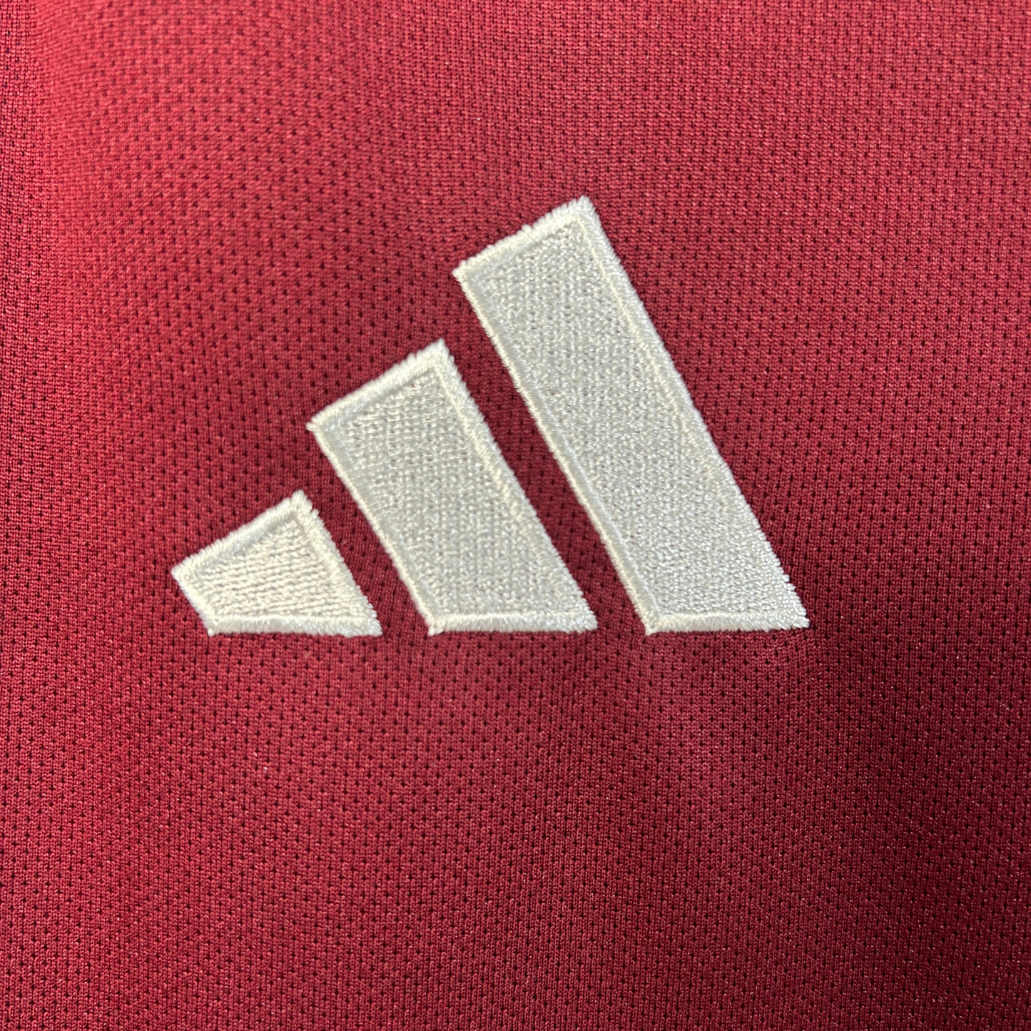 Aston Villa Home Jersey 25/26 Fan Version