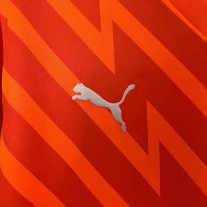 Palmeiras Goalkeeper Jersey 24/25 Fan Version