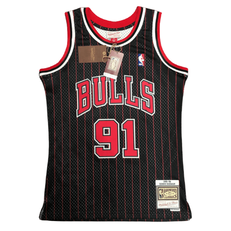 Toros de Chicago 1995-96 