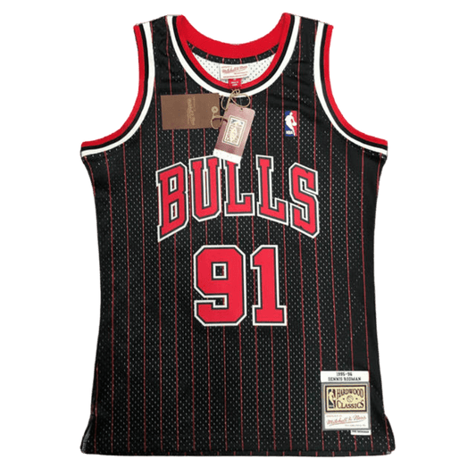 Toros de Chicago 1995-96 
