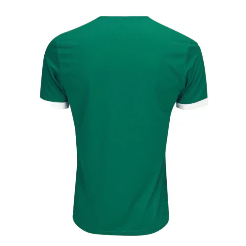 Camiseta Palmeiras 25/26 Local - Versión Fan