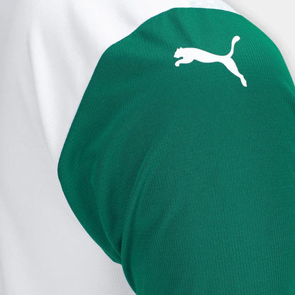 Camiseta Palmeiras 25/26 II Visitante - Versión Fan