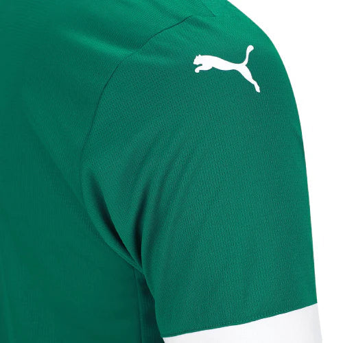 Camiseta Palmeiras 25/26 Local - Versión Fan