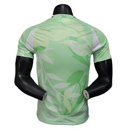 Camiseta de entrenamiento de Italia 25/26 - Versión de jugador