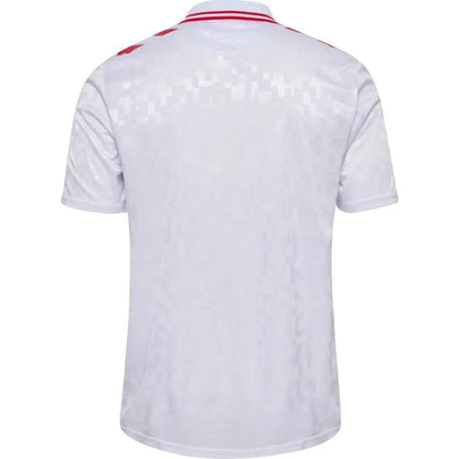 Camiseta visitante de Dinamarca 24/25 II (versión para aficionados)