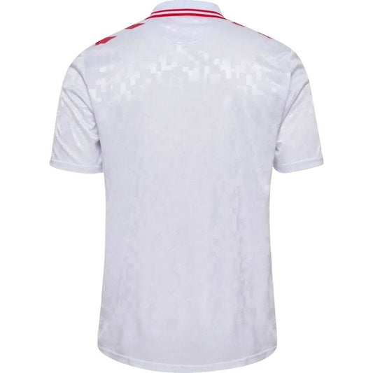 Camiseta visitante de Dinamarca 24/25 II (versión para aficionados)